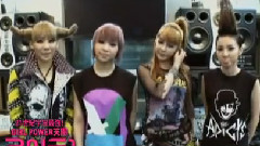 最新2NE1冠军首选