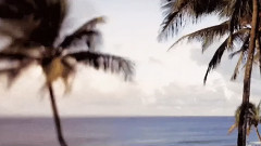 Giovanni Marradi,音乐短片 - Summer Wind