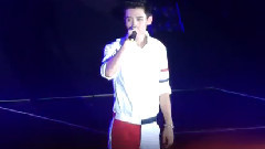 魏晨 - 流星雨又来临