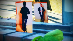 ツヅリ・ヅクリ - ネコヤナギ