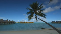 Enya,音乐短片 - Wild Child & Caribbean Blue