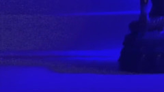 佳佳楠南 - Promises (Remix)