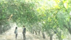 SBS 韩剧<继承者们> 预告