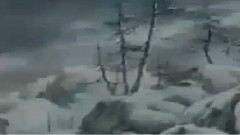 向天再借五百年