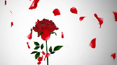 Nico - カンタレラ