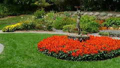 Tonight You Ll Be Mine