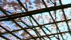 民乐群星 - 阳关三叠 古筝曲