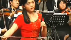 于红梅 - 红梅随想曲(片段) 二胡独奏