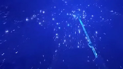 Slå Dig Fri 瑞典语版