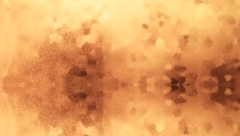 奥兹,希望你能够得到幸福