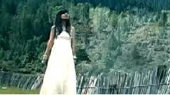 民乐群星 - 约定