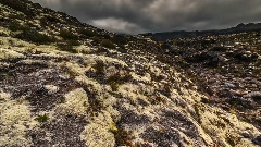 寂静寥远新西兰