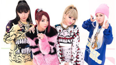 2NE1 - 不是你不行