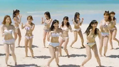 チームサプライズTVCM ラブラドール・レトリバー ダンス篇