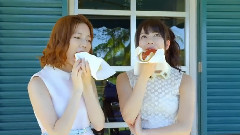 チームサプライズTVCM ラブラドール・レトリバー ホットドッグ篇