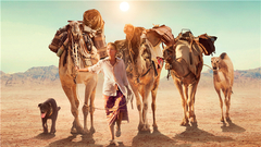 影视原声 - 电影 < 沙漠驼影 >