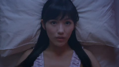 ラブラドールレトリバー