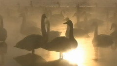 Do You Remember, Once We Were Happy