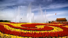 陈思思 - 中国梦