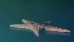 Angel Haze - Deep Sea Diver (lyric video)