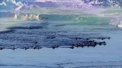 Christmas Secrets - North Pole