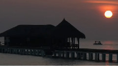 Secret Garden - Steps