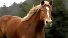 Enigma - From East To West