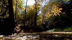 Stamatis Spanoudakis,音乐短片 - Farewell