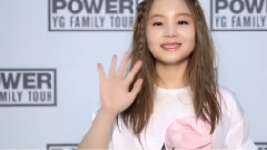 YG FAMILY CONCERT 2014 