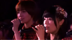 桜の花びらたち(樱花花瓣)