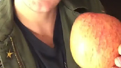 5 Seconds of Summer - Ash与苹果的小故事