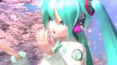 初音未来 - 桜ノ雨
