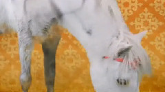 Nie Mehr Fastelovend