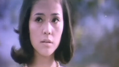 影视原声 - 庭院深深 电影<庭院深深>主题曲