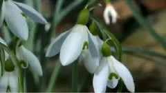 Enigma,音乐短片 - Sitting On The Moon