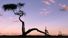 风景,音乐短片 - A Place In The Sun