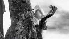 エレクトロサチュレイタ