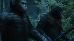 电影<猩球黎明>预告片