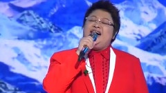 绒花 & 天路 第7届中国(浙江)电视观众节主题晚会现场版 12/11/06