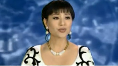 殷秀梅 - 祖先的灵渠