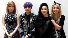 Special Message From 2NE1