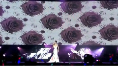 我依然是你的情人