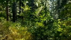 Michel Pépé,音乐短片 - La Cite Celeste