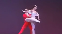 The Nutcracker Grand Pas De Deux