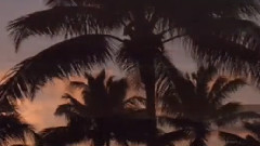 Stamatis Spanoudakis,音乐短片 - Thalassa