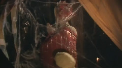 叶茅 - 晴天月儿明