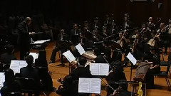 民乐群星 - 花枝招展