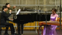 民乐群星 - 临安遗恨