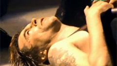 Die Toten Hosen - Pushed Aagain