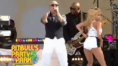 Pitbull - Don't Stop the Party